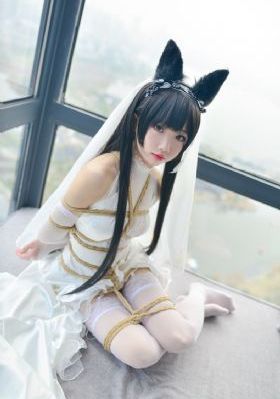 歼灭天际线免费观看完整版_蓝光动漫免费观看