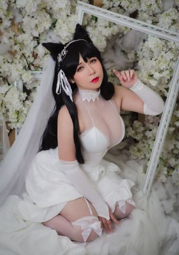新婚初夜_DVD免费电视剧